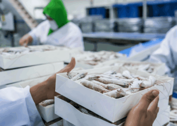 import italiano di pesci lavorati
