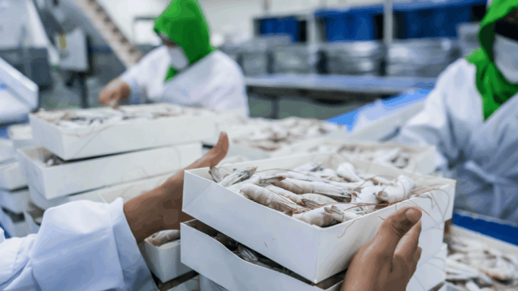 import italiano di pesci lavorati