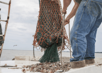 Fishing vessel at sea as warmer ocean temperatures and El Niño shift fish distribution and fishing grounds