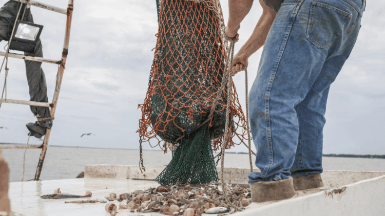 Fishing vessel at sea as warmer ocean temperatures and El Niño shift fish distribution and fishing grounds