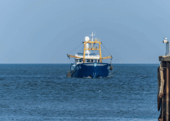 obiettivo 30×30 oceani