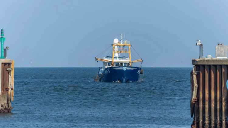 obiettivo 30×30 oceani