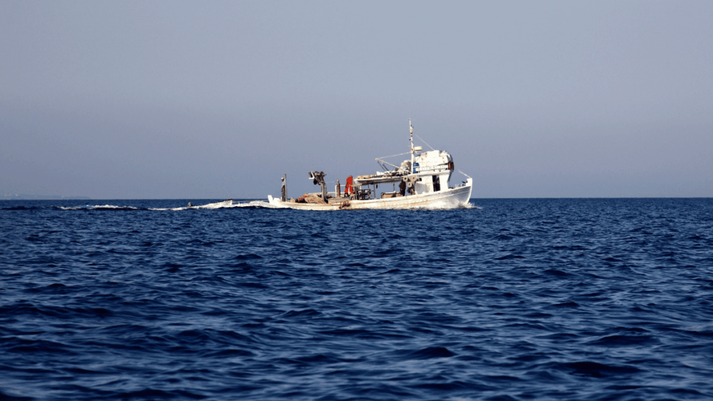 pesca illegale controlli nei porti
