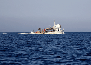 pesca illegale controlli nei porti