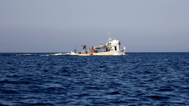 pesca illegale controlli nei porti
