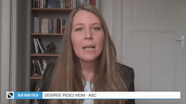 Blue News Italia 14 ottobre 2026