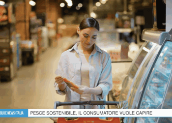 Blue News Italia 7 ottobre 2026: Cambiale Azzurra, tracciabilità e mercato ittico