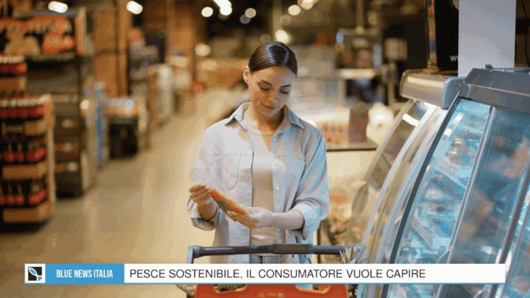 Blue News Italia 7 ottobre 2026: Cambiale Azzurra, tracciabilità e mercato ittico