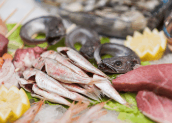 Banco ittico con diverse specie di pesce fresco