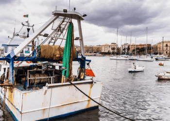 Coldiretti Cambiale Azzurra