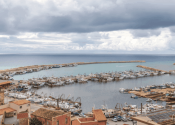 Federpesca alla FAO Global Exhibition per il panel Blue Ports for a resilient Mediterranean