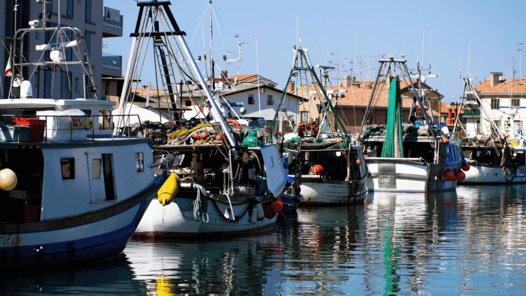 Federpesca