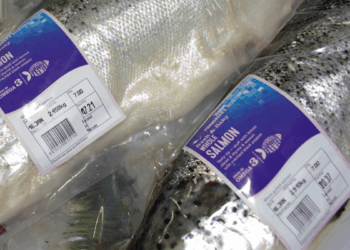 Tracciabilità digitale dei prodotti ittici con etichette e barcode