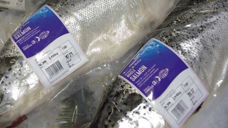 Tracciabilità digitale dei prodotti ittici con etichette e barcode