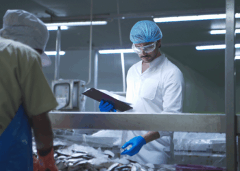 Operatore durante un controllo qualità sui prodotti ittici in uno stabilimento di lavorazione