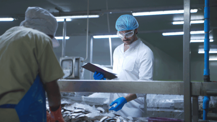 Operatore durante un controllo qualità sui prodotti ittici in uno stabilimento di lavorazione