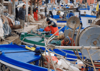 Pesca artigianale