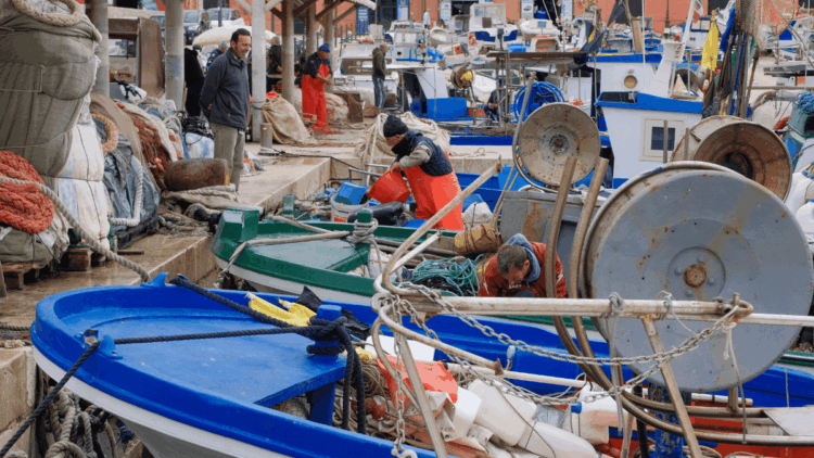 Pesca artigianale