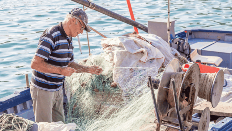 consultazione UE misure tecniche pesca