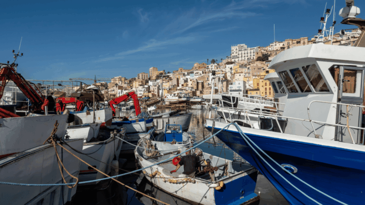 Rinnovo CCNL imbarcati su natanti di cooperative di pesca